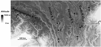 Genetic Differentiation of Eastern Honey Bee (Apis cerana) Populations Across Qinghai-Tibet Plateau-Valley Landforms